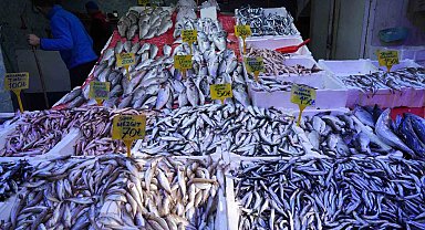 Karadeniz'de mezgit ve istavrit bolluğu