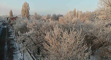Kars adeta buz kesti