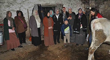 Kars'ta kadınlar sağlıklı sağım tekniklerini öğreniyor