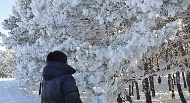 Kars'ta soğuk hava etkisini gösterdi