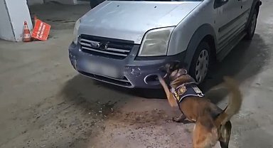 Kars'ta uyuşturucu narkotik köpeği Şila'ya takıldı
