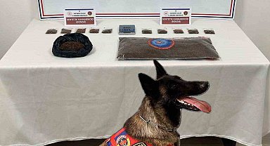 Kastamonu'da 2 kilogram sentetik kannabinoid ele geçirildi