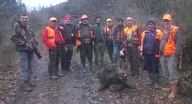 Kastamonu'da su borusunu tamir ederken domuzun saldırdığı adam ağır yaralandı