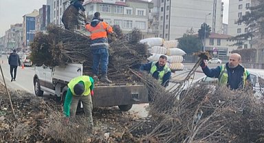 Kayseri Büyükşehir 'yeşil Kayseri' için çalışıyor