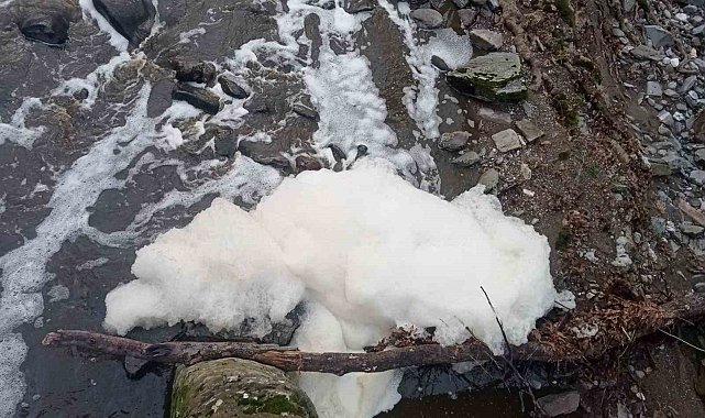 Ketenlik Deresi zehirle kaplandı: Vatandaşlar tepkili