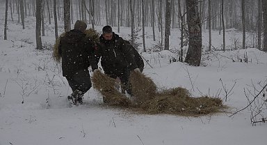 Kırklareli'nde yaban hayvanları için doğaya yem bırakıldı