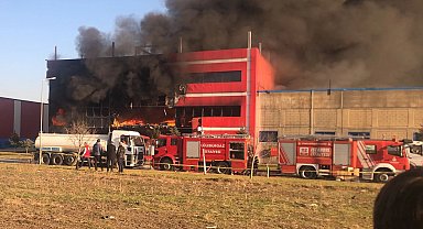 Kırklareli'nde oyuncak fabrikasında yangın