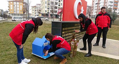 Kızılay gönüllülerinden kedilere sıcak yuva