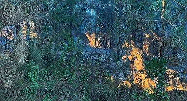 Kocaeli'de ormanlık alanda yangın çıktı