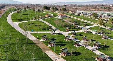 Kocaeli'de son 22 yılda dikilen ağaç sayısı 9 milyonu geçti