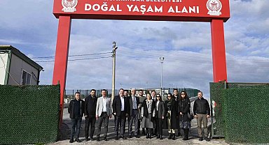 Komisyon üyeleri sokak hayvanları için Akhisar'da toplandı