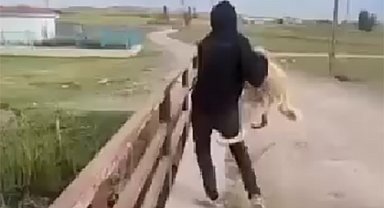 Köpeği köprüden suya atan 2 kişi hakkında işlem yapıldı