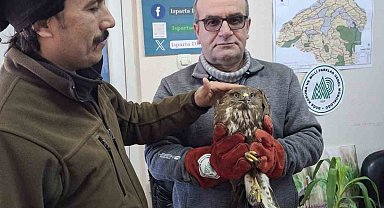 Kovada Gölü'nde yaralı bulunan şahinler tedavi altına alındı