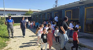 Kreş öğrencileri sokak hayvanlarını ziyaret etti