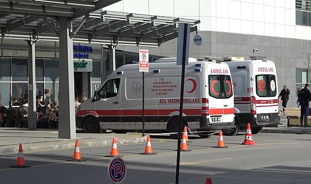 Kütahya'da sahipsiz köpeklerin saldırısına uğrayan anne ile kızı yaralandı