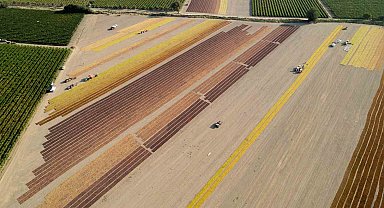 Manisa 2024 yılında 842 milyon dolarlık tarımsal ihracat yaptı