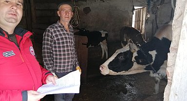 Menteşe'de hayvancılık işletmelerine denetim