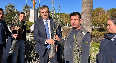 Muğla Dalaman'da zeytin ve ceviz fidanları dağıtıldı