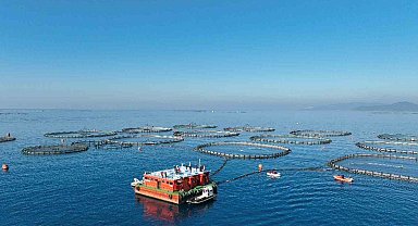 Muğla'da su ürünlerinden 624,6 milyon dolar gelir