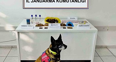 Muğla'da uyuşturucu operasyonunda 2 gözaltı