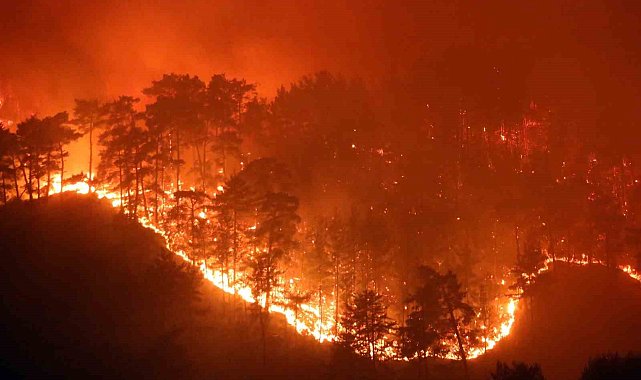 Muğla'da yaz sezonunda günde ortalama 6 yangına müdahale edildi