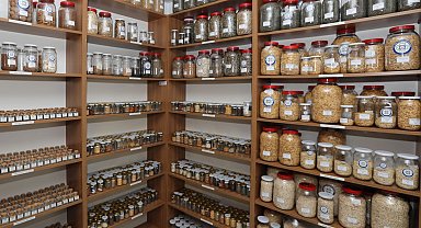 Muğla'nın tohumları Türkiye'nin topraklarıyla buluşuyor