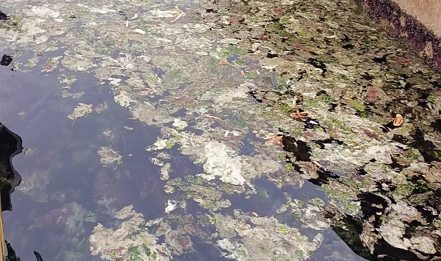 Müsilaj yoğunlaşarak sürüyor!