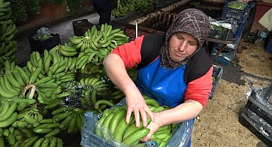 Muz fiyatları üreticinin yüzünü güldürüyor