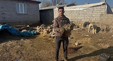 Nesli tehlike altında olan yaralı puhu kuşu tedaviye alındı