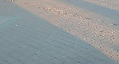 Nevşehir'de kardeş cinayeti