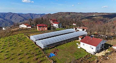 Ordu'da üreticilere sera naylonu desteği