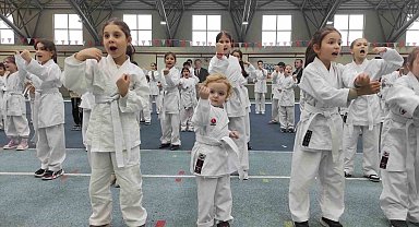 Osmangazi'de karate eğitim semineri
