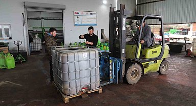 Park ve bahçelerdeki zeytinler ihtiyaç sahipleri için zeytinyağına dönüştürüldü