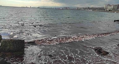 Poyraz fırtınası Marmara Denizi'ni kıyılarını kızıl renge boyadı