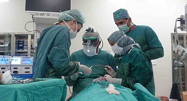 Prof. Dr. Abdulvahap Akyiğit: "Baş ve boyun kanserinde erken tanı hayat kurtarır"