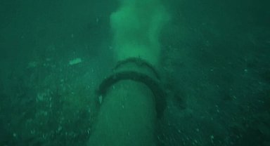 Prof. Dr. Mustafa Sarı: Kendinizi de, insanları da kandırmayın!