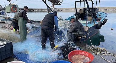 "Al da Gel" teknesiyle denize açıldılar 2 ton lüferi alıp geldiler