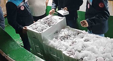 Reis 48 Kontrol Gemisi hamsi denetiminde