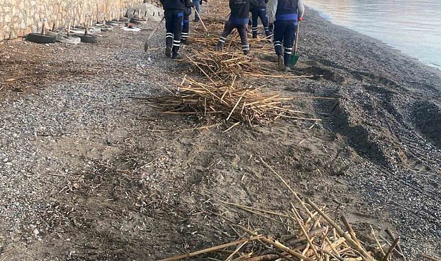 Rodos'un pisliği Datça'yı vurdu