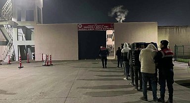 Sakarya'da hayvan hırsızlığı yapan çeteye operasyon: 7 tutuklama