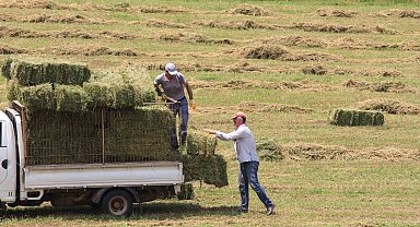 Saman fiyatları bir ay öncesine göre yüzde 10, eylüle göre yüzde 20 arttı