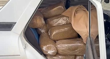 Samsun'da 250 kilo kaçak tütün ele geçirildi