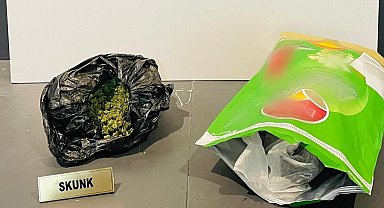 Samsun'da 265 gram skunk ele geçirildi