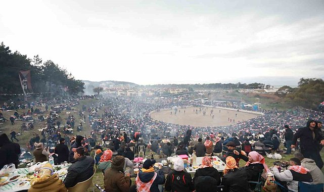 Selçuk'ta Deve Güreşleri Festivali heyecanı başlıyor