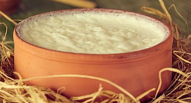 'Silifke Yoğurdu'na AB tescili... 30'uncu tescillimiz oldu