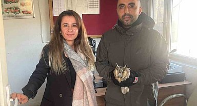 Şırnak'ta yaralı puhu kuşları tedavi altına alındı