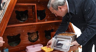 Sivas'ta can dostlara 'sıcak' proje