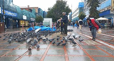 Soğukta aç kalan güvercinlerin yardımına yetiştiler
