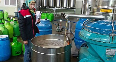 Söke'de zeytinyağı işletmeleri denetlendi