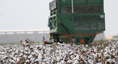 Söke'nin tarımsal kayıtlılık oranı dikkat çekti